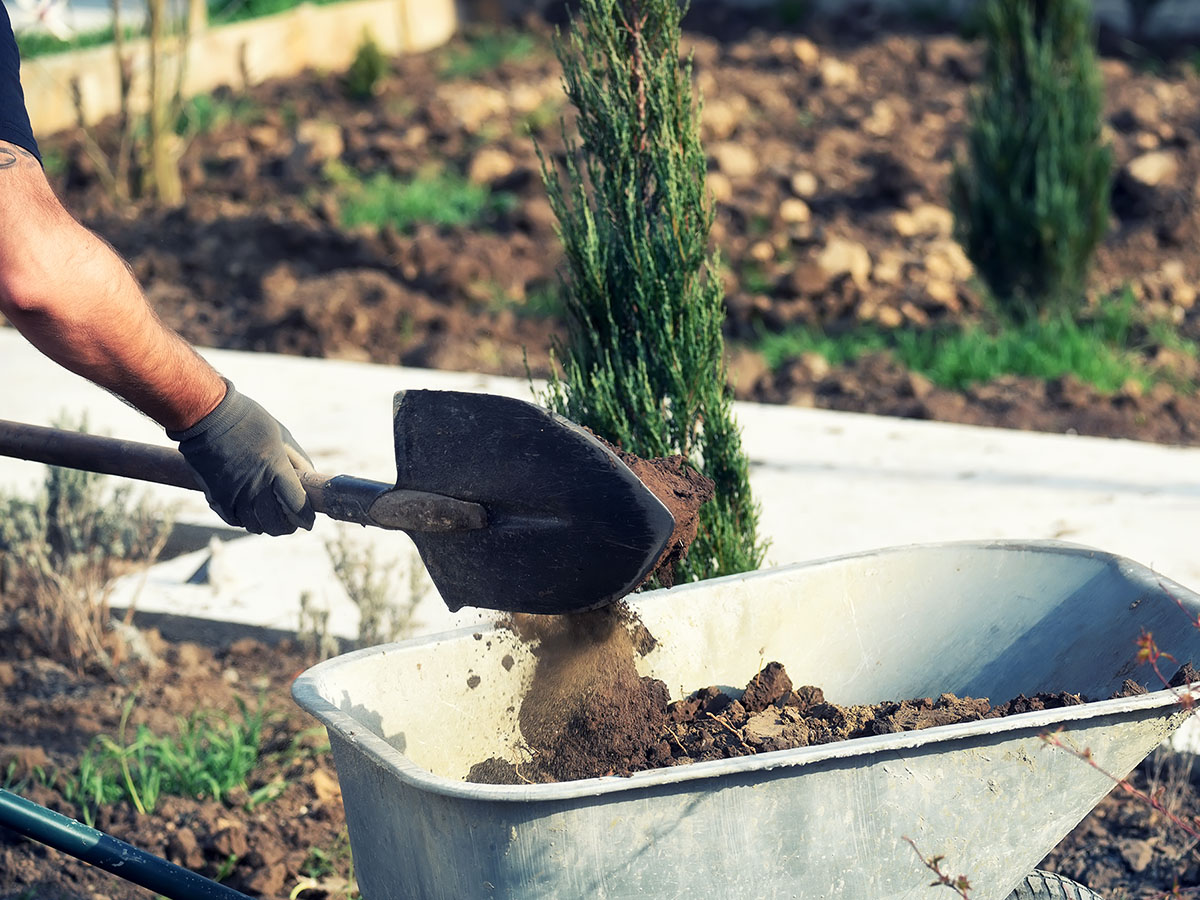 Image of a person doing landscaping work