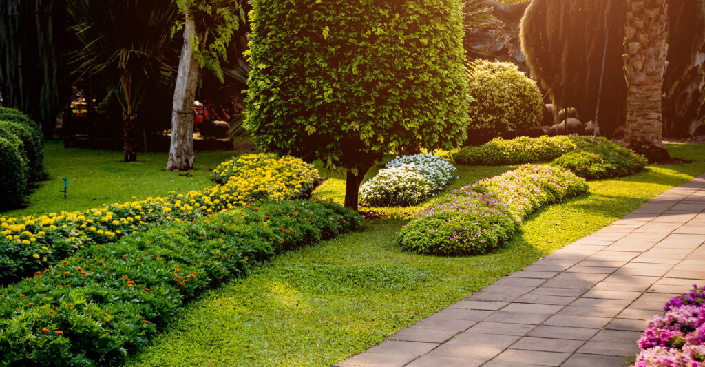 Image of a landscapped yard