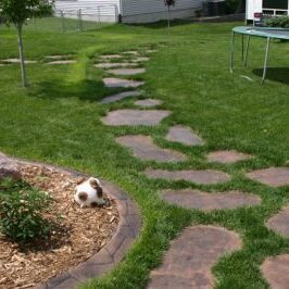 Stepping_Stones_21-e1539288638911